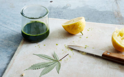 Learn about CBD and chronic inflammation